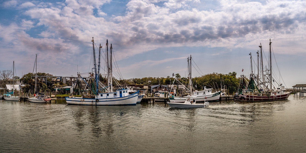 Shrimp boats, harbor, nature, bay, low country, water, south carolina, landscape
