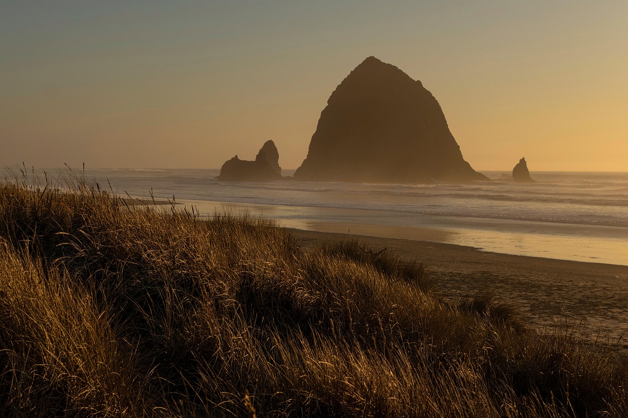Beach, sunset, oregon, coast, nature, cannon beach, pacific ocean, sea, ocean, landscape