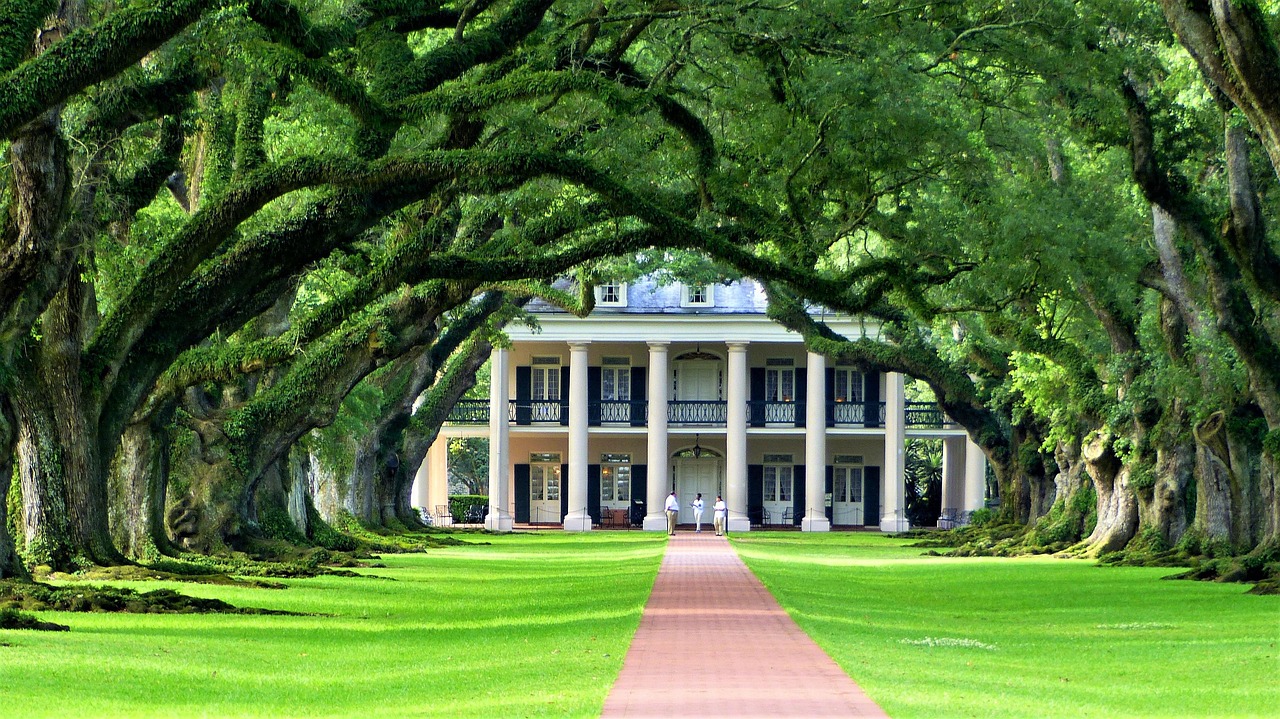 Nature, plantation, louisiana, america, green, plants, costs, colorful, park, sheets, landscape, trees, louisiana, louisiana, louisiana, louisiana, louisiana