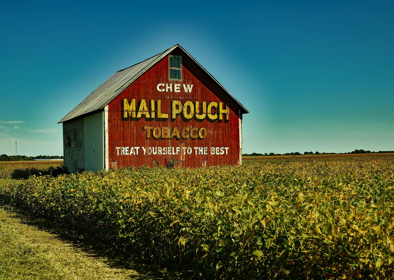 Mail pouch tobacco, barn, farm, soybeans, crop, agriculture, landscape, summer, nature, outdoors, old, country, rural, rustic, hdr, indiana, indiana, indiana, indiana, indiana, indiana, United States,
