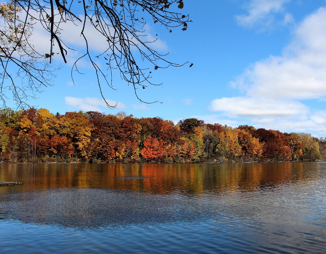 Fox river, river, appleton, wisconsin, autumn, fall, trees, shore, color, partly cloudy, nature, water, natural, fox river, fox river, appleton, wisconsin, wisconsin, wisconsin, wisconsin, wisconsin