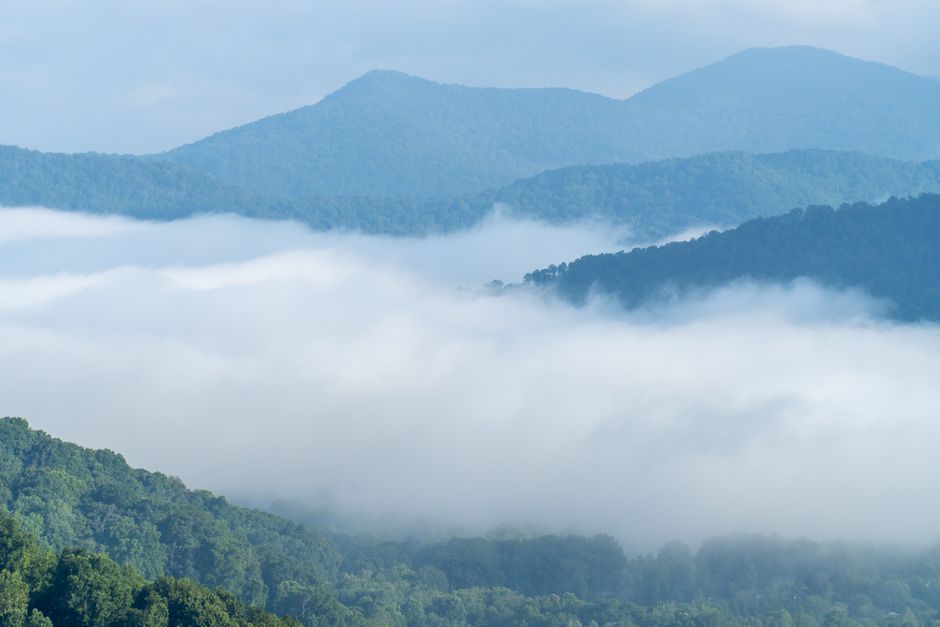 Foggy Blue Ridge Mountains with lush greenery in Asheville, NC.