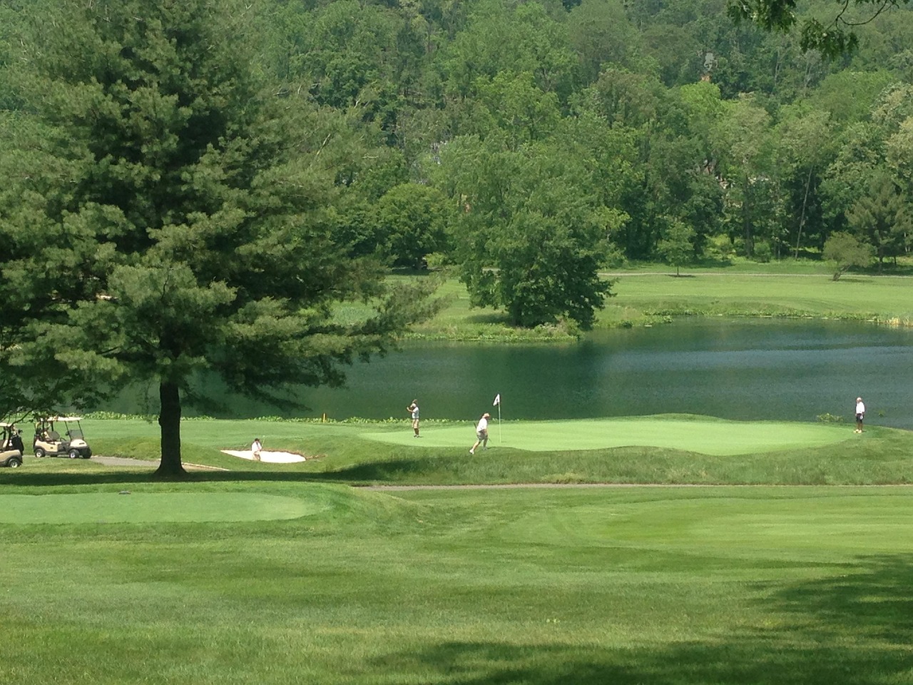 Golf, course, tee, golfing, sport, grass, game, leisure, nature, field, outdoor, competition, fairway, flag, golfer, green gaming, green sports, green golf, green game, green games, United States, Mor
