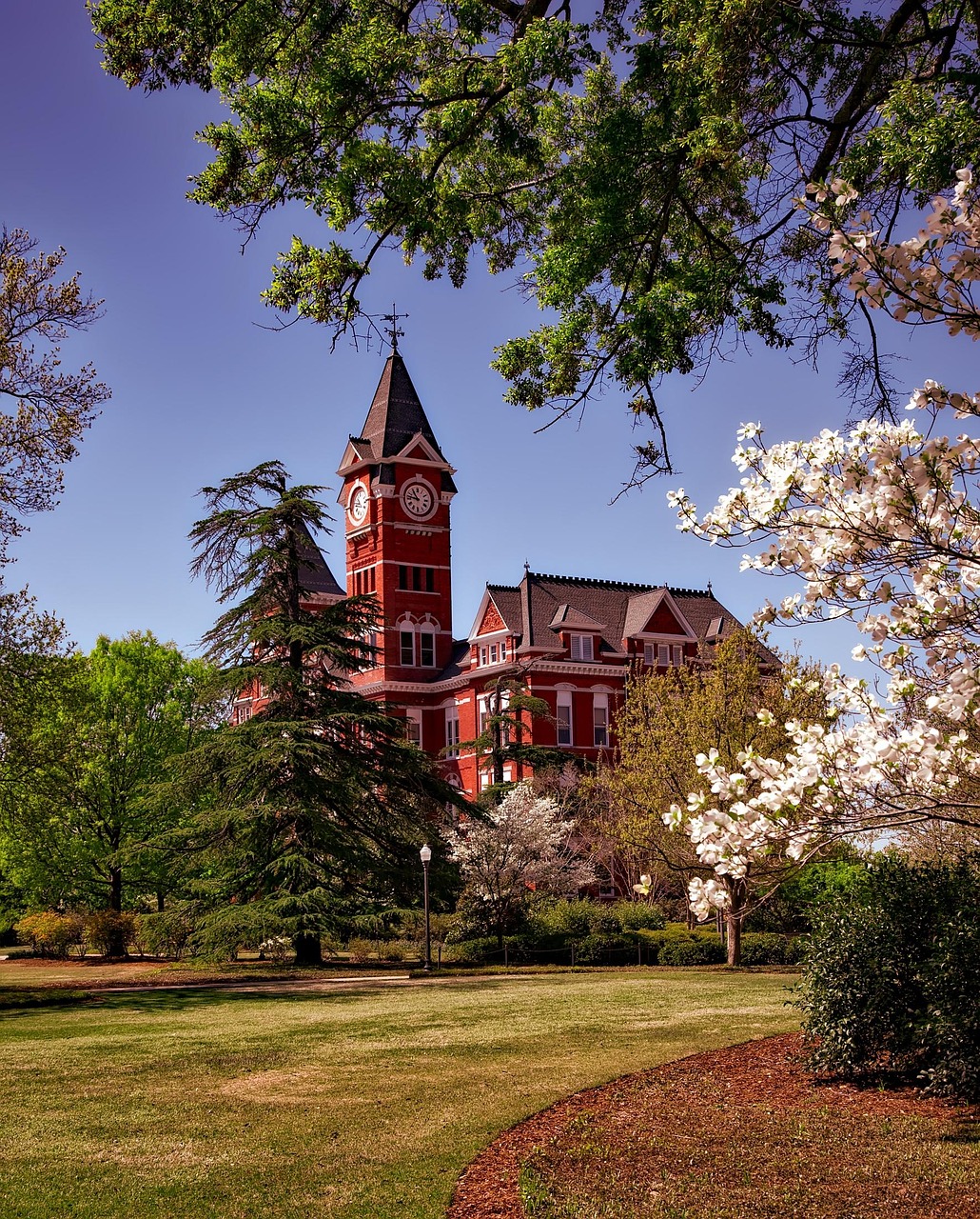 Samford hall, auburn university, education, schools, universities, colleges, landmark, historic, building, spring, alabama, hdr, landscape, trees, nature, outdoors, blooms, blossoms, auburn university