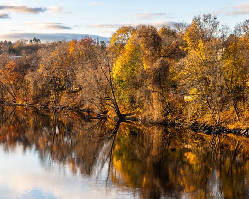Stunning autumn foliage reflecting on a serene river in Auburn, Maine.