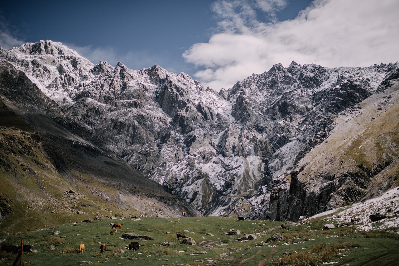 Mountains, caucasus, nature, landscape, georgia, field, meadow, snow, scenery, mountains, mountains, mountains, caucasus, nature, landscape, landscape, georgia, georgia, georgia, georgia, georgia, sno