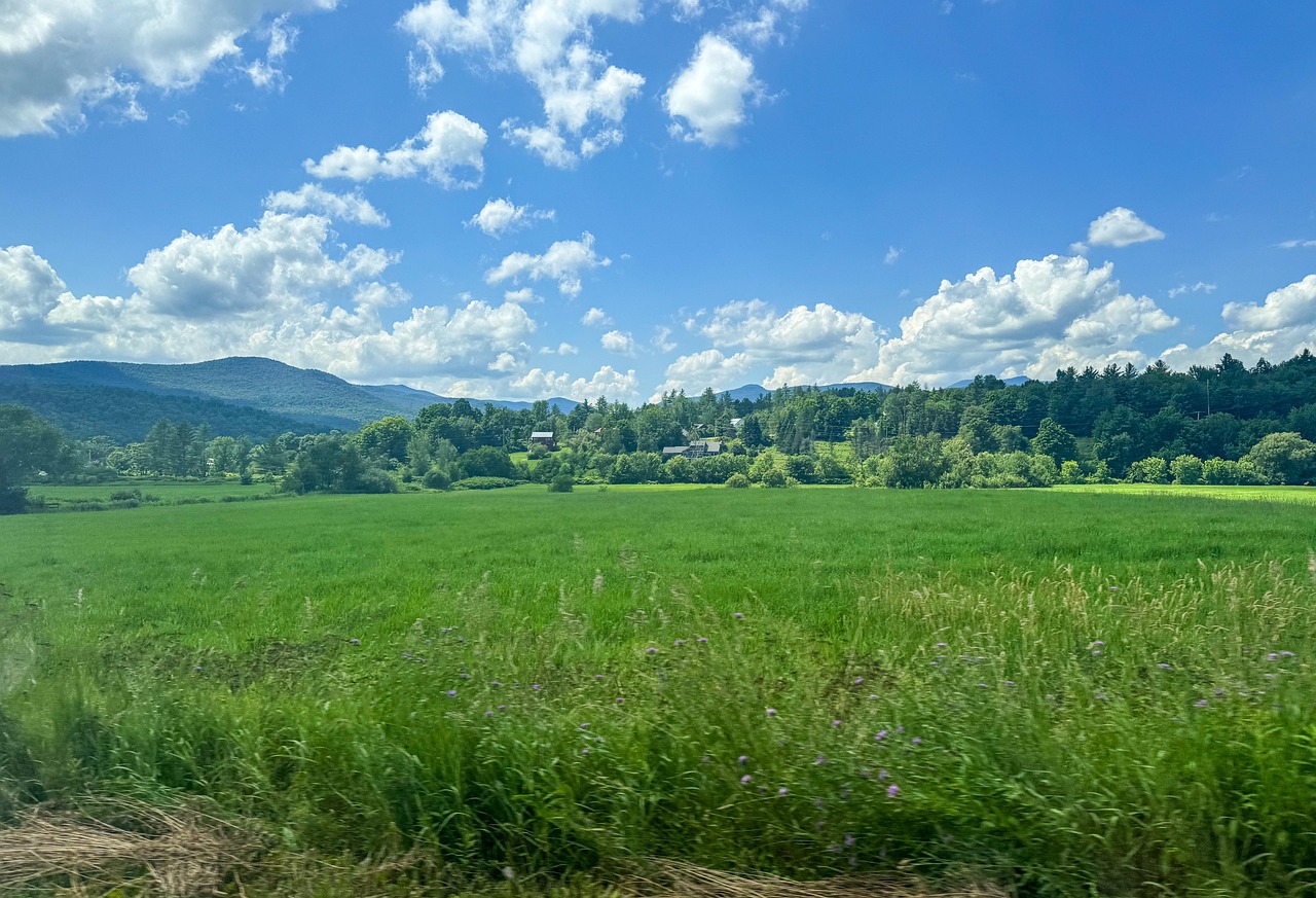 Vermont, mountains, nature, trees, landscape, summer, outdoors, travel, sky