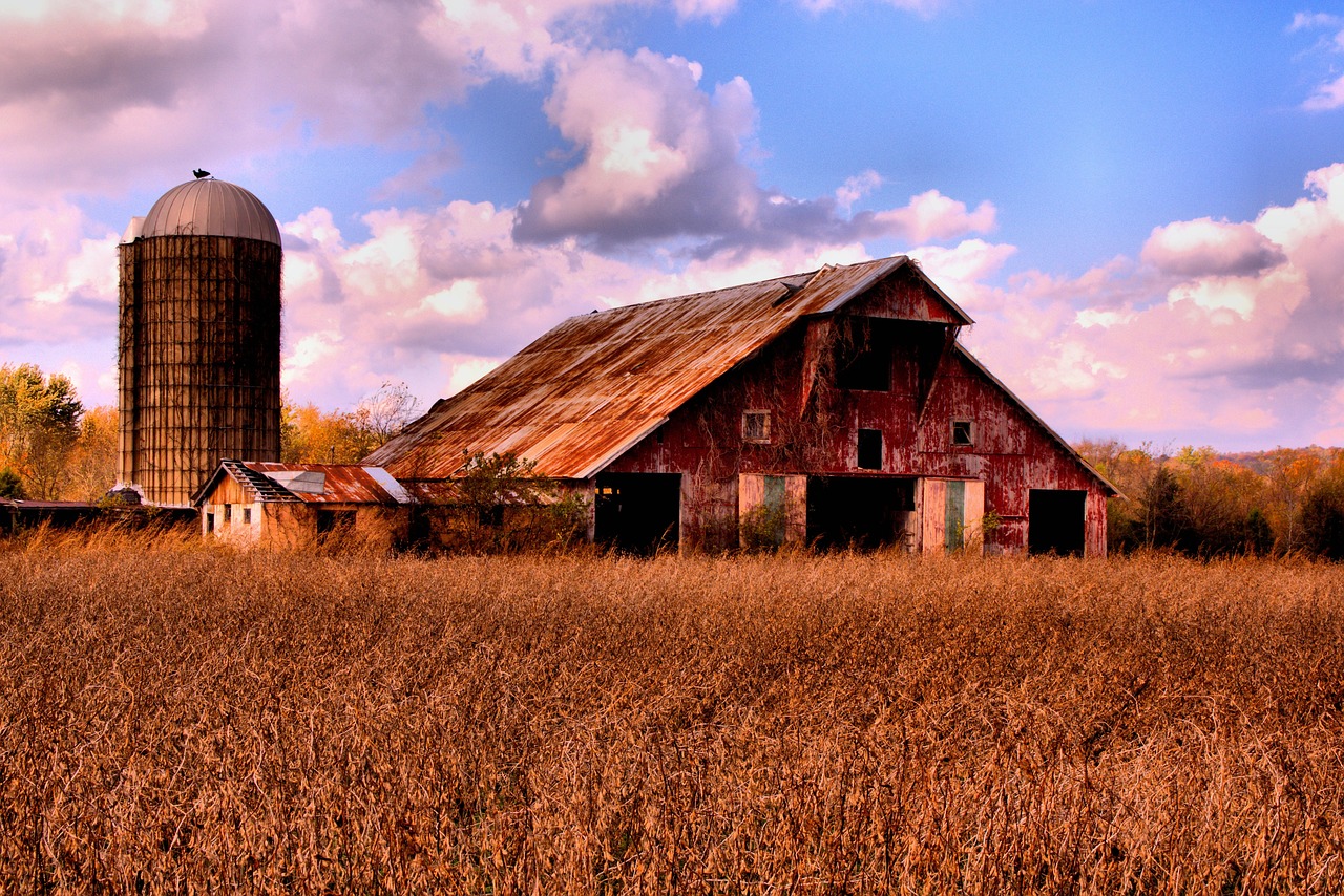 Barn, landscape, farm, nature, rural, countryside, clouds, outdoors, scenic, building, field, tennessee