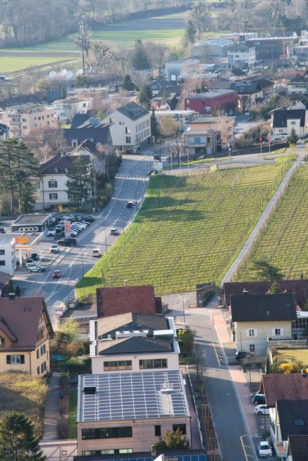 Aerial view of suburban area featuring a vineyard and residential buildings on a sunny day.