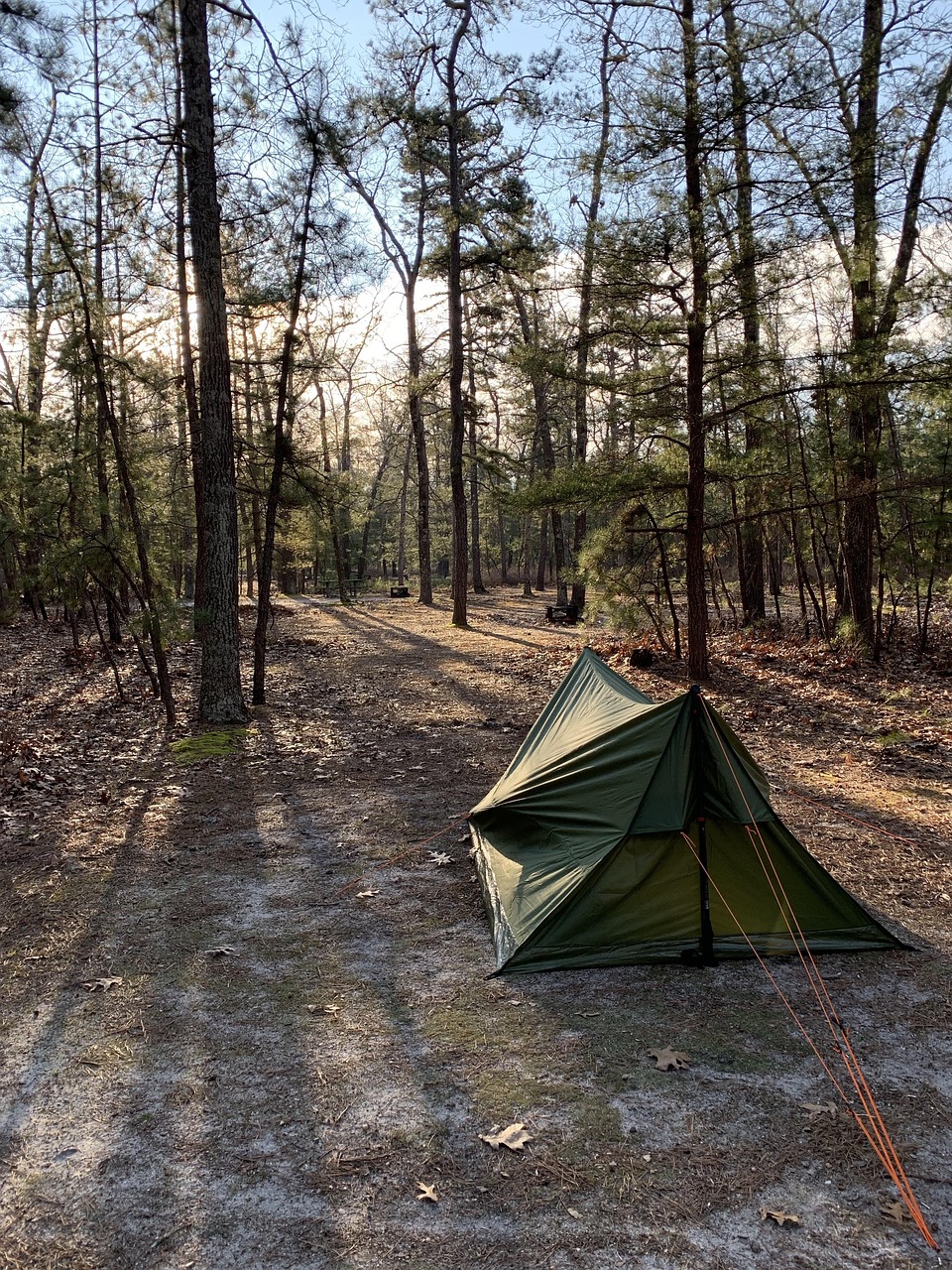 Tent, camping, new jersey, nature, outdoor, landscape, leisure, United States, New Jersey, Woodland