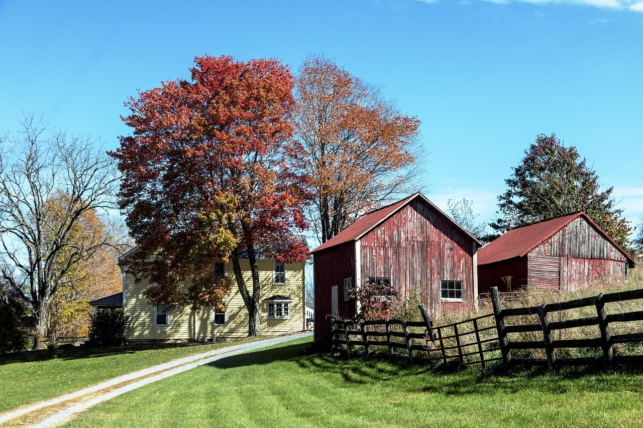 Farm yard, farm, nature, farmhouse, fall, fence, barn, building, woodhouse, house, agriculture, monroe county, west virginia, usa, america, north america, united states, red leaves, carol m highsmith,