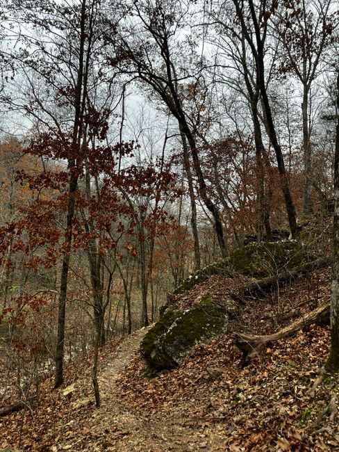 Quiet forest trail with autumn foliage in Bella Vista, Arkansas.