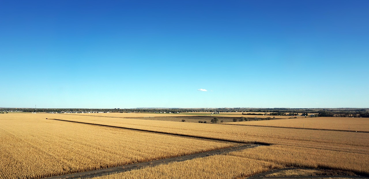 Usa, nebraska, agriculture, field, corn, america, midwest, landscape, nebraska, nebraska, nebraska, nebraska, nebraska