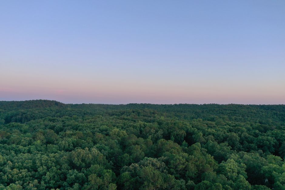 A captivating aerial view of lush green forest under a clear sky in Benton, Arkansas at dawn.