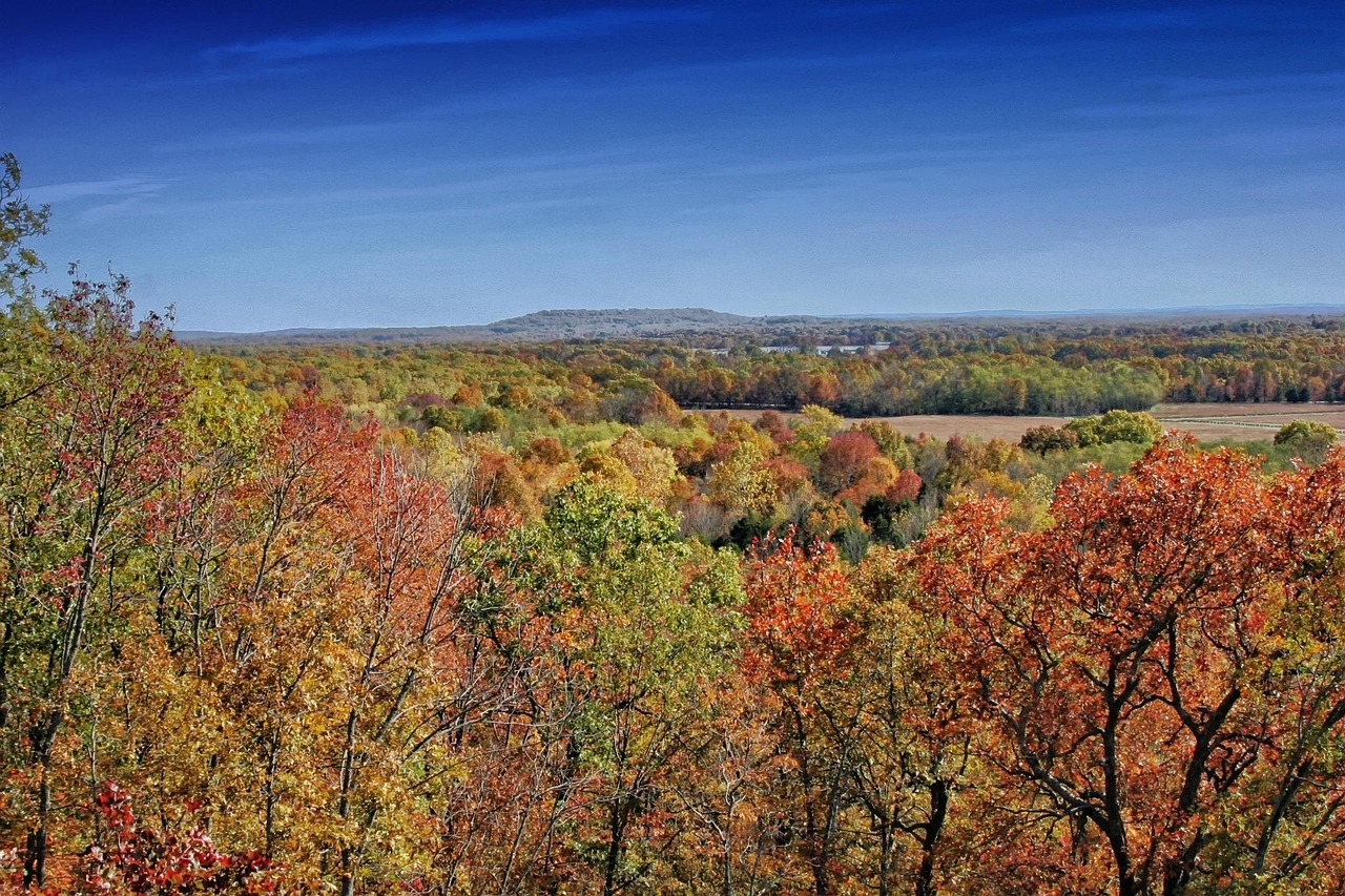 Arkansas, landscape, scenic, forest, trees, woods, fall, autumn, foliage, nature, outside, countryside, arkansas, arkansas, arkansas, arkansas, arkansas