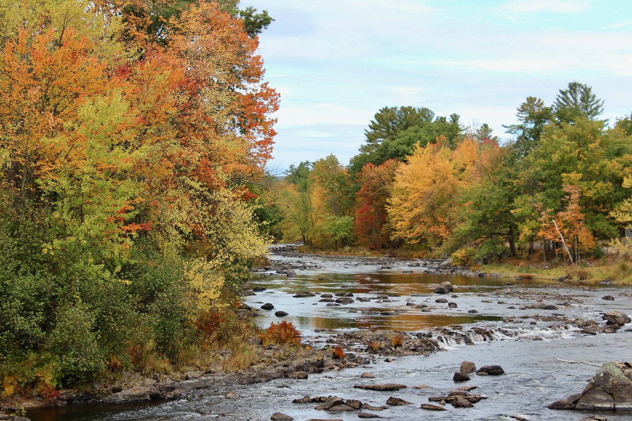 Fall, new england, new hampshire, autumn, river, nature, water, landscape, outdoors, trees, new england, new england, new england, new hampshire, new hampshire, new hampshire, new hampshire, new hamps