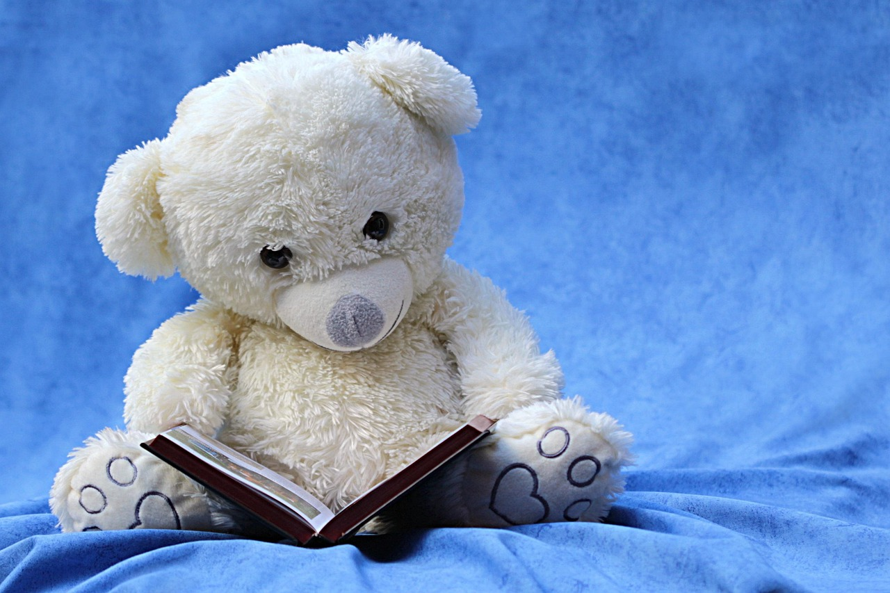 Still life, teddy, white, read, a book, background blue, still life, still life, still life, teddy, teddy, teddy, teddy, teddy, a book, a book, a book, a book