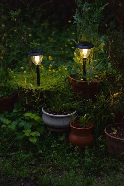 Warm garden lights glow among potted plants, creating a serene evening ambiance.