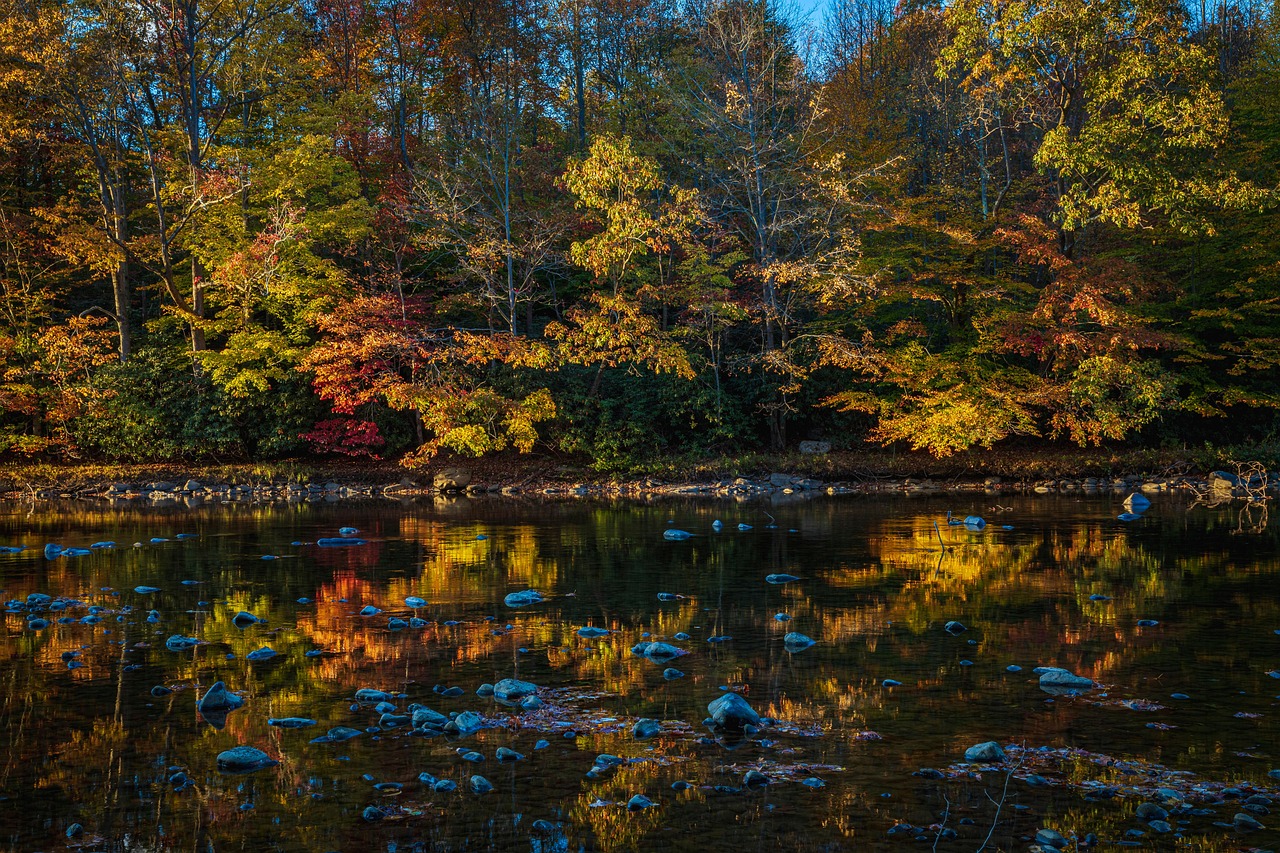 Autumn, river, forest, fall, trees, woods, fall colors, landscape, nature, pennsylvania, pennsylvania, pennsylvania, pennsylvania, pennsylvania, pennsylvania