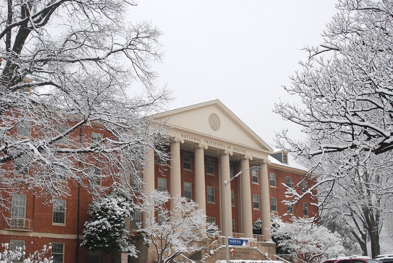National institute of health, bethesda, maryland, building, architecture, winter, snow, ice, sky, nature, clouds, trees, outside, research, medicine, science, columns, gray health, gray science, gray