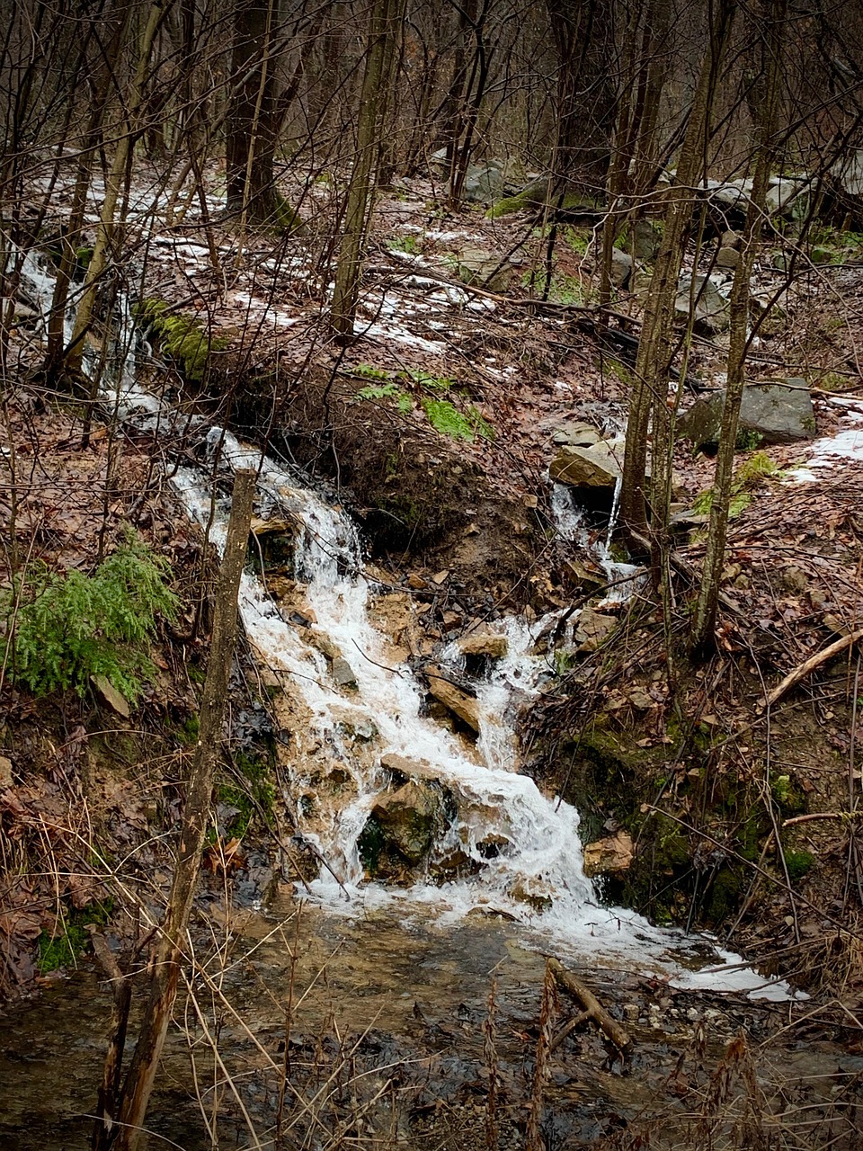 Waterfall, stream, mountain, spring, nature, water, landscape, outdoors, flowing, falls, pennsylvania, brown waterfall
