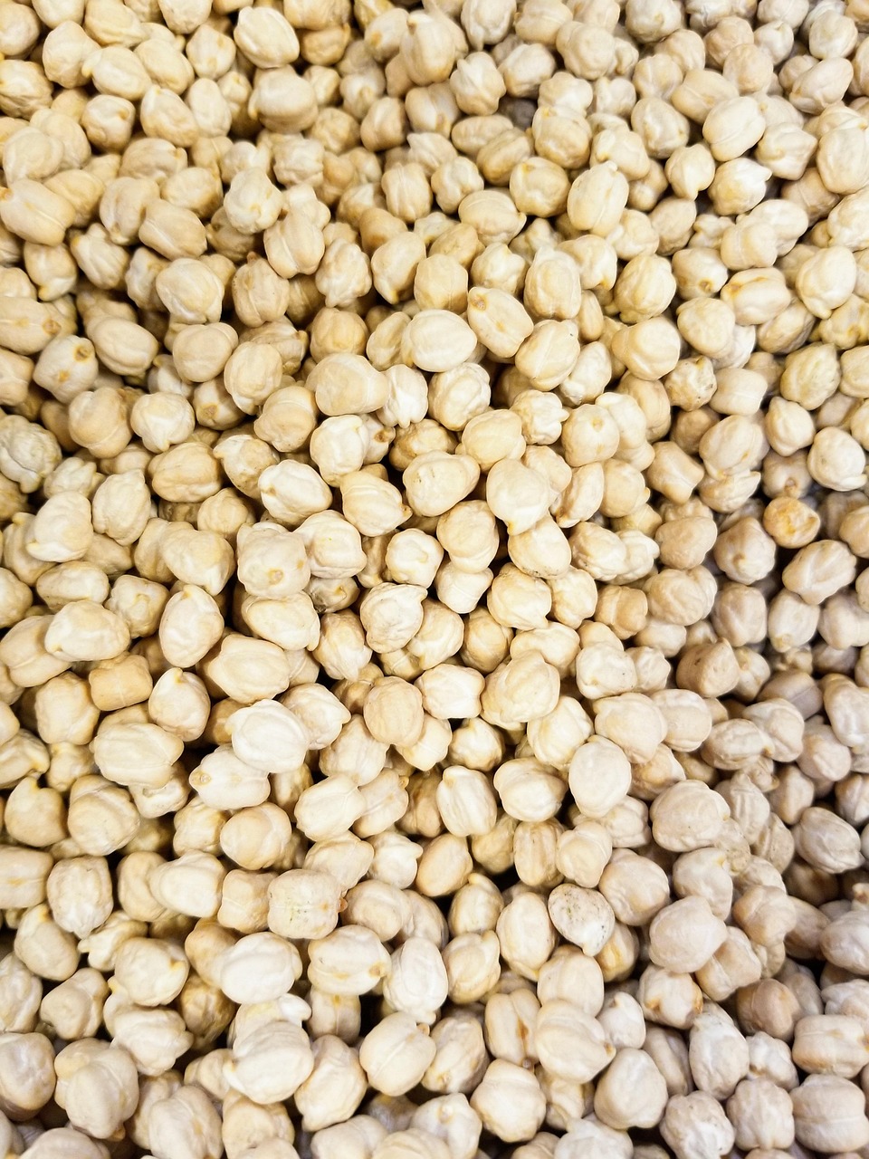Chickpea, garbanzo, bean, pea, texture, dried, chickpea, garbanzo, garbanzo, garbanzo, garbanzo, garbanzo, United States, Bixby, Oklahoma