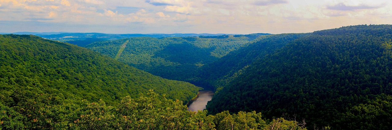 Cheat river, west virginia, cooper's rock, nature, mountains, landscape, west virginia, west virginia, west virginia, west virginia, west virginia