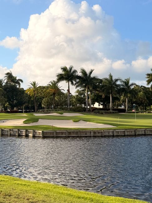 Palm trees and a clear blue sky at a sunny golf course in Boca Raton, Florida.