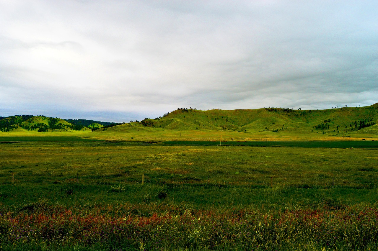 Grassland, south dakota, horizon, usa, landscape, wilderness, hills, outdoors, south dakota, south dakota, south dakota, south dakota, south dakota