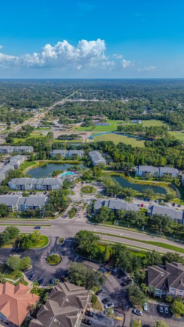 Captivating aerial view of suburban landscape and greenery in Brandon, Florida.