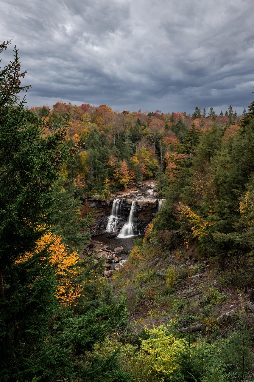 Blackwater falls, waterfall, blackwater falls state park, forset, landscape, nature, west virginia, river, forset, forset, west virginia, west virginia, west virginia, west virginia, west virginia