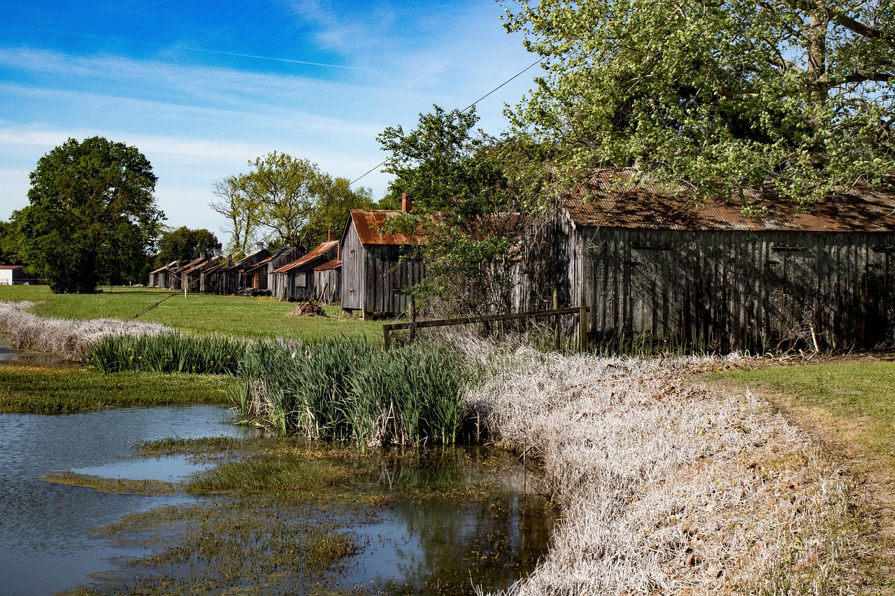 Landscape, historic, louisiana, architecture, landmark, plantation, laurel valley