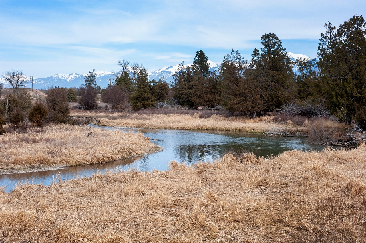 River, spring, mountains, montana, usa, meandering stream, stream, nature, landscape, still water, brook, montana, montana, montana, meandering stream, stream, brook, brook, brook, brook, brook