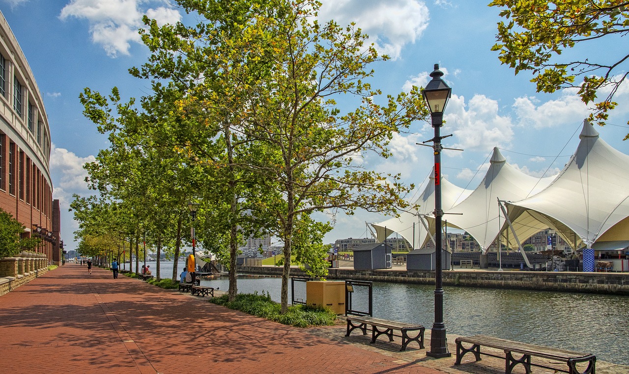 Baltimore, inner harbor, boats, docks, ships, maryland, skyline, water, landscape, pavilon, nature, landmark, downtown, tourism, sky, waterfront, travel, metropolis, lights