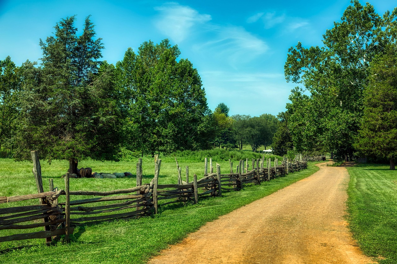 New jersey, america, landscape, scenic, summer, fields, meadows, dirt road, sky, clouds, nature, outdoors, farm, countryside, country, rural, hdr, woods, trees, forest, wood fence, green sky, green ro