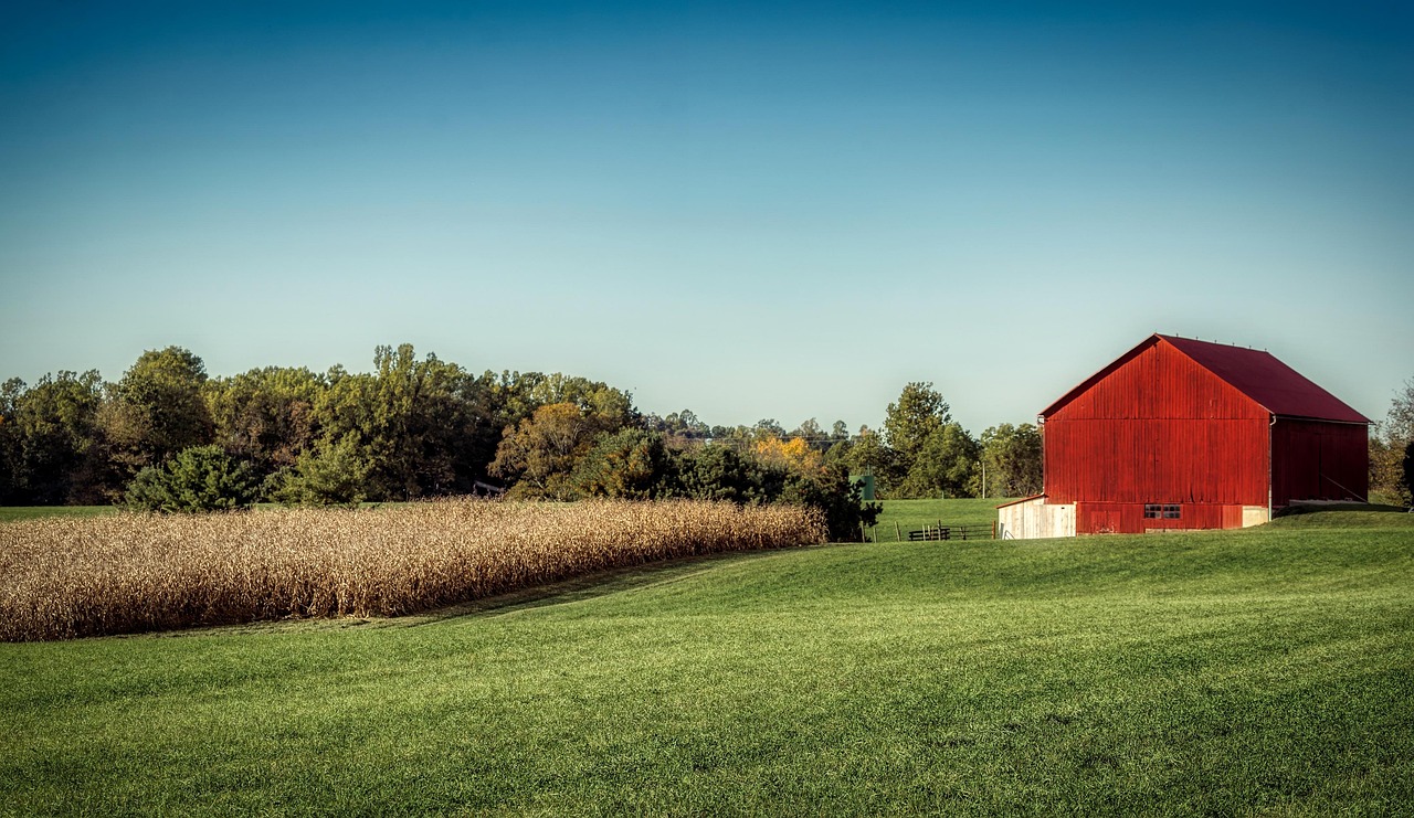 Landscape, farm, barn, cornfield, field, meadow, nature, outdoors, ohio, america, country, rural, panorama, woods, trees, ohio, ohio, ohio, ohio, ohio