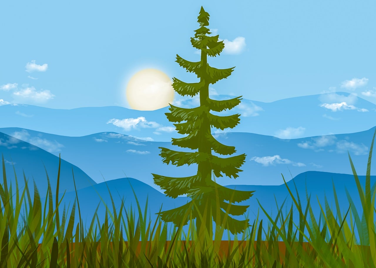 Blue ridge mountains, north carolina, scenic landscape, view, pine trees, appalachian