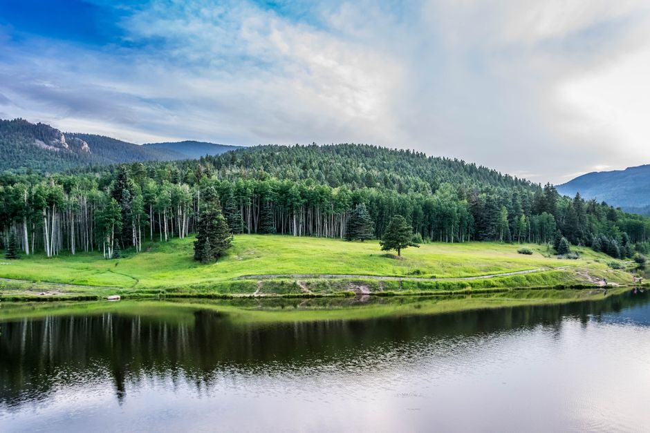 Beautiful summer landscape with lush trees and water reflections in Colorado.
