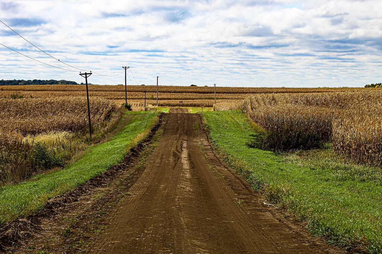 Dirt road, fields, country, landscape, rural, countryside, farm, sky, clouds, nature, dirt, outdoors, road, street, path, horizon, iowa