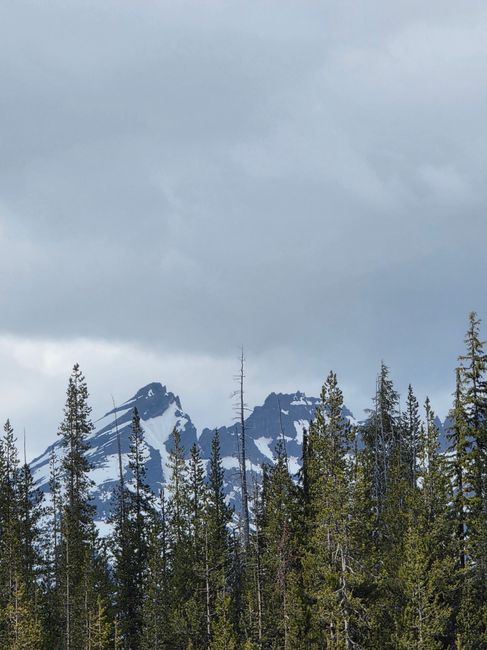 Majestic snow-capped mountains behind towering pine trees under a cloudy sky in Bend, Oregon.