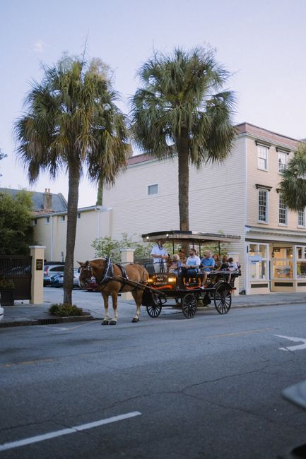 Scenic horse carriage tour passing palm trees in Charleston, South Carolina during blue hour.
