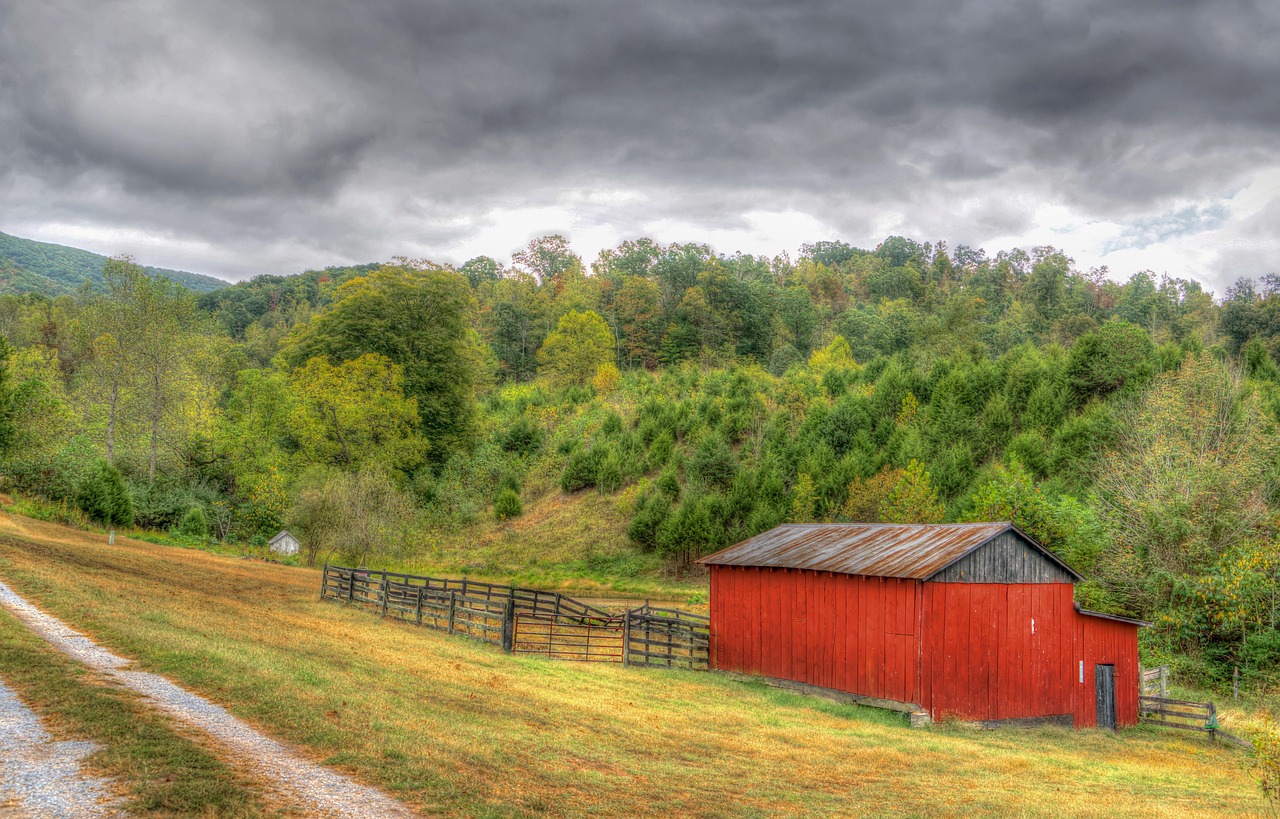 Countryside, barn, rural, virginia, farm, dirt road, autumn, scenic, agriculture, outdoors, cloudy, sky, nature, field, environment, grass, farmland, landscape, barn, barn, virginia, virginia, virgini