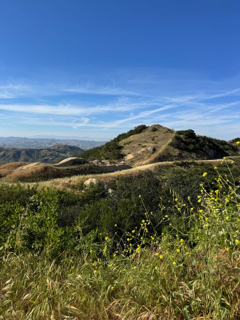 Beautiful rolling hills under a clear blue sky in California's natural landscape.
