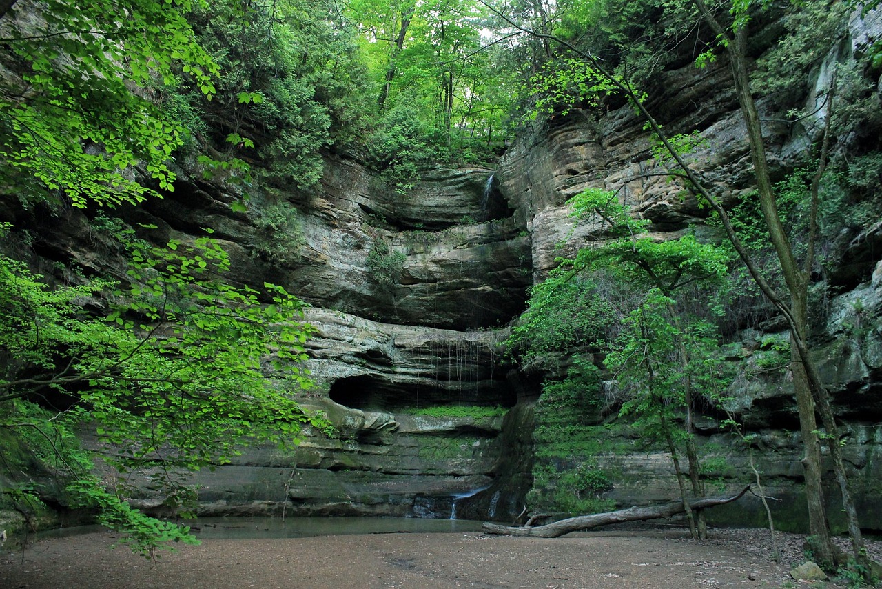 Canyon, illinois, starved rock state park, usa, waterfall, landscape, wilderness, scenery, natural, wild, outdoor, environment, scenic, land, nature, tranquil, green waterfall, green rock, illinois, i