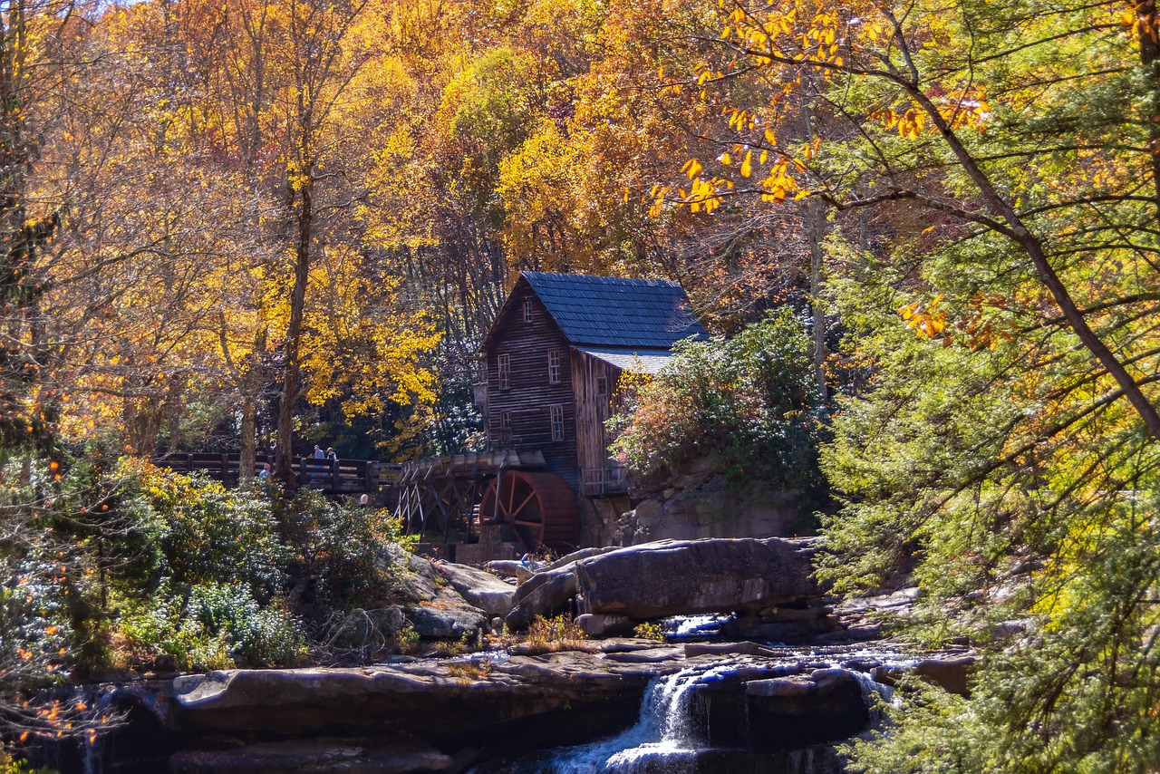 Babcock wv, gristmill, stream, creek, landscape, trees, park, nature, outside, scenic, water, fall, mountains west virginia, wv, forest, gristmill, gristmill, stream, stream, creek, creek, creek, cree