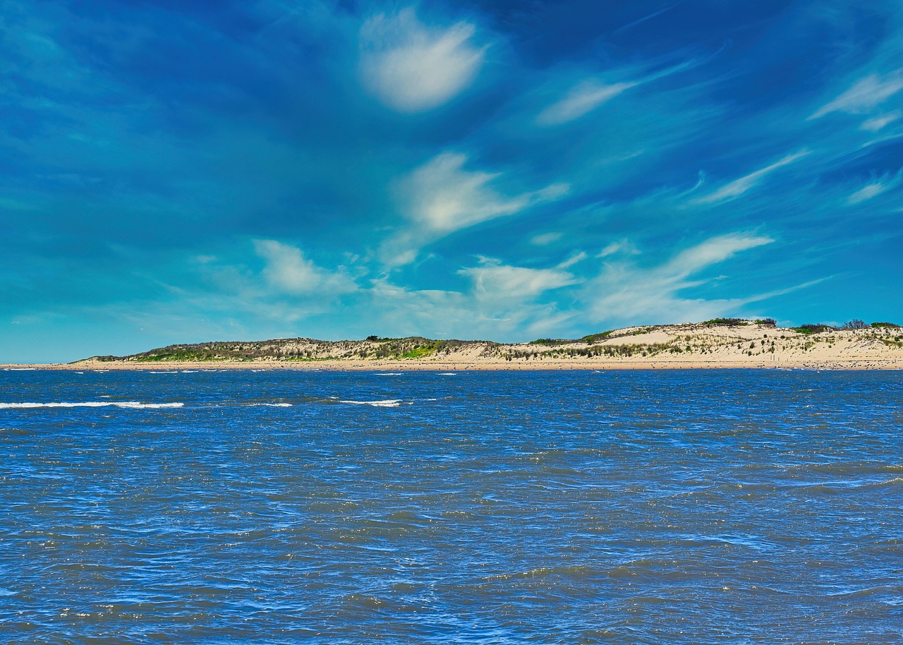 Beach, dunes, sand, landscape, coast, nature, cape henlopen, delaware usa