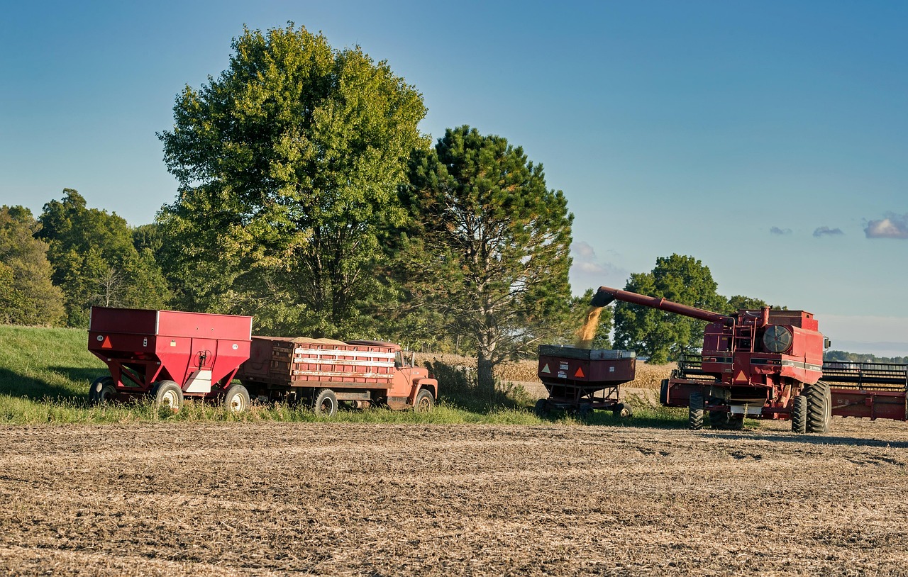 Ohio, america, soybean harvest, field, trees, landscape, nature, outdoors, country, rural, truck, wagon, machinery, agriculture