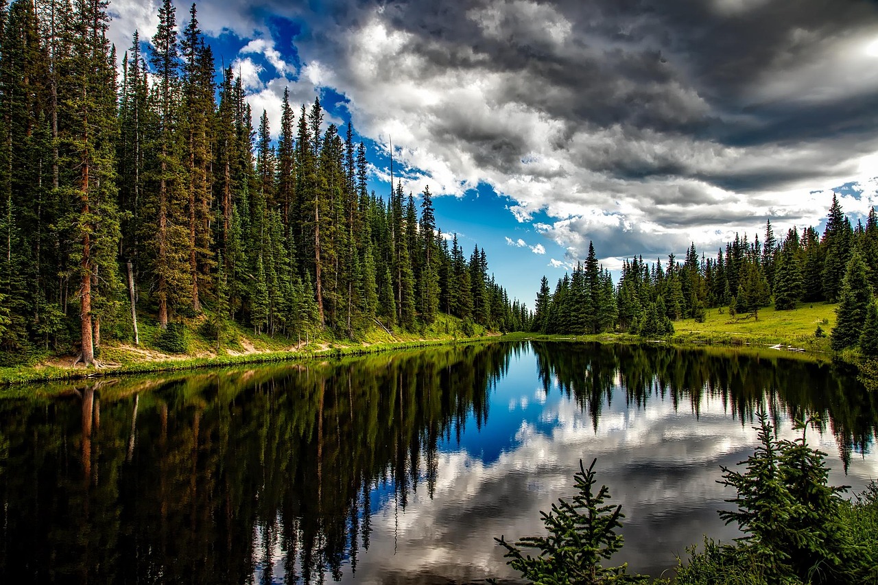 Lake, conifers, clouds, trees, sky, cloudy sky, coniferous, conifer forest, forest, woods, woodlands, lake irene, colorado, water, reflection, water reflection, landscape, scenic, idyll, nature, outdo