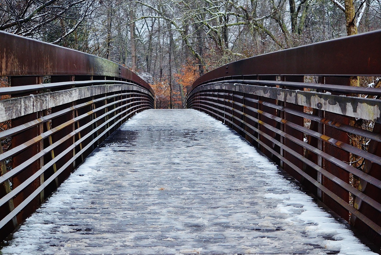 Bridge, snow, cold, landscape, winter, nature, trees, mood, south carolina, usa, south carolina, south carolina, south carolina, south carolina, south carolina