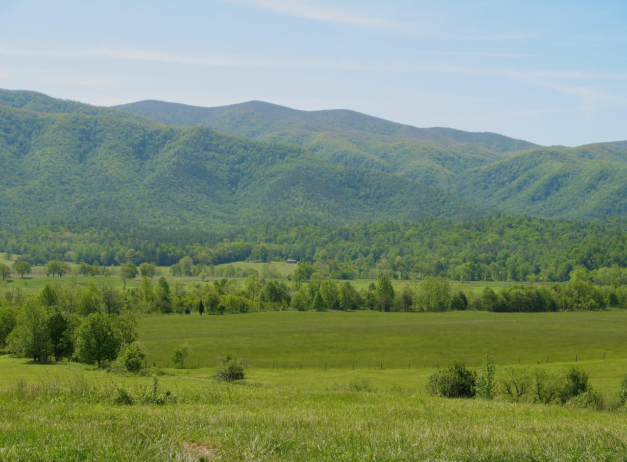Tennessee, smokies, smoky mountains, valley, mountains, landscape, fields, meadows, tranquil, nature, sky, clouds, forest